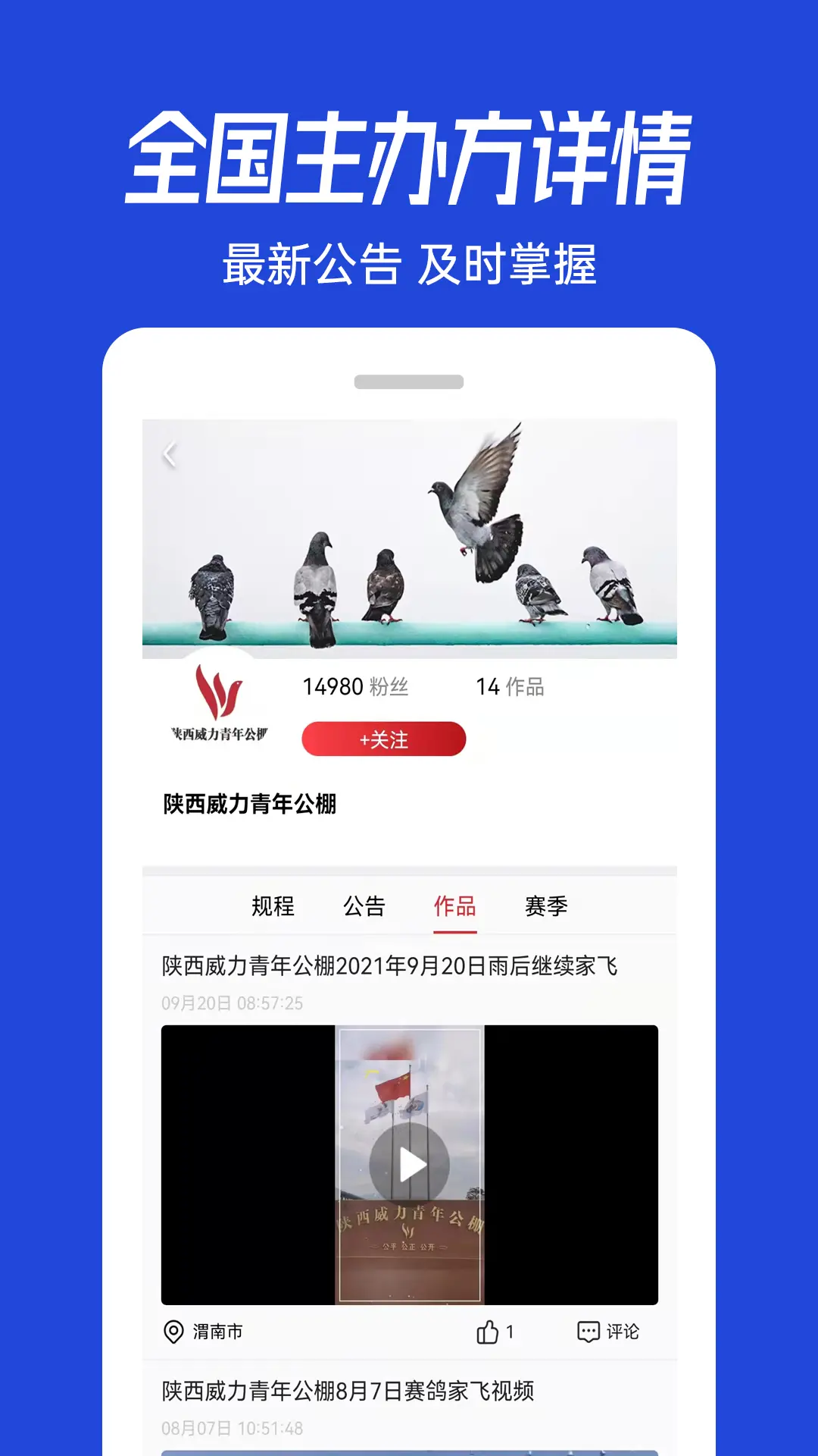 青鸽网图3