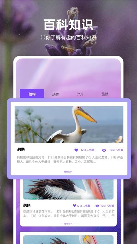 一键拍照识物图2