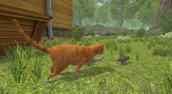 城市老鼠模拟器中文修改版图3