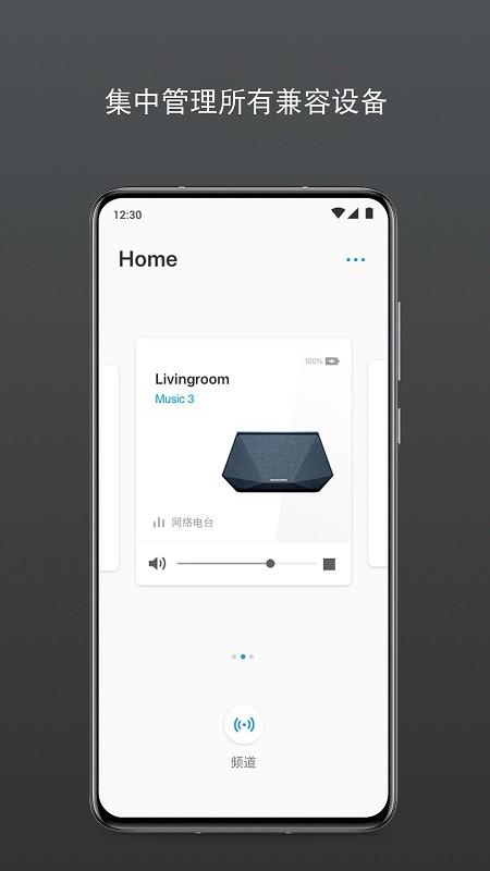 Dynaudio丹拿音响图2