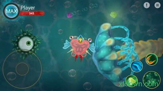 微生物进化世界图2