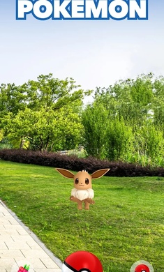 宝可梦:GO国际服图2