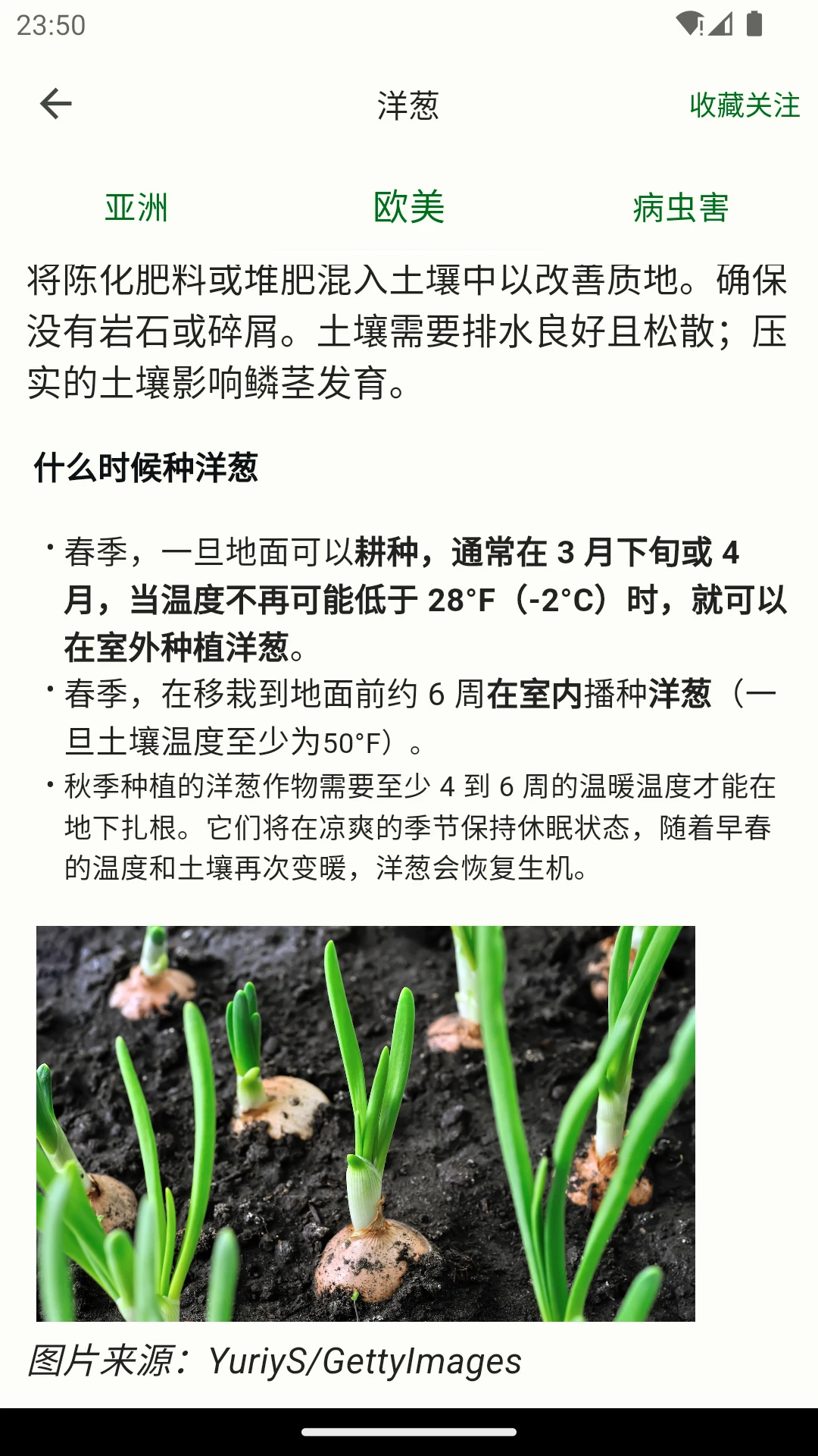 鱼菜记 鱼菜记