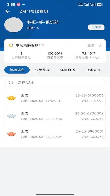科汇赛鸽图3