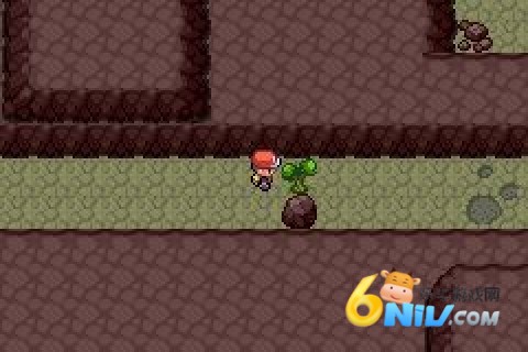 口袋妖怪xy中文版图1