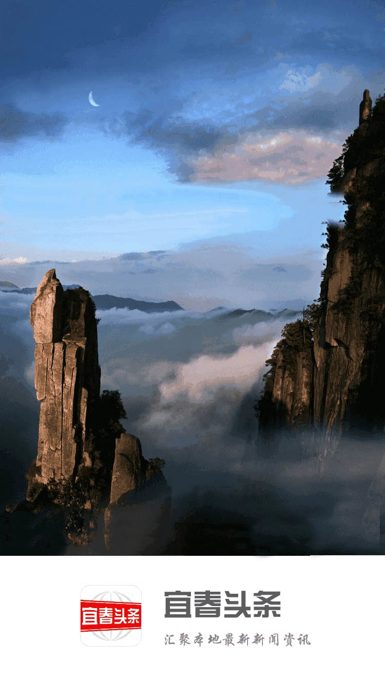 宜春头条图1