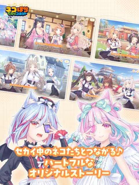 ネココネ安装器