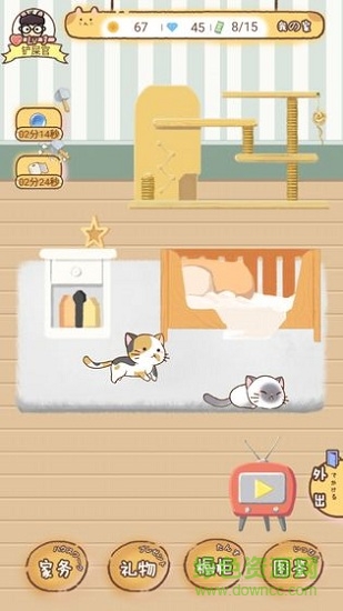 猫宅97图1