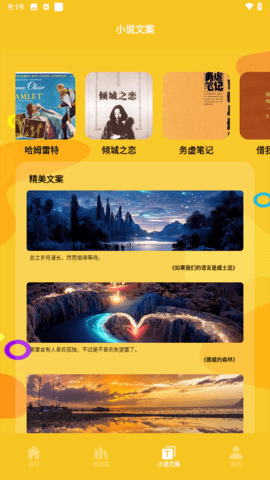 云雀小说阅读器图4