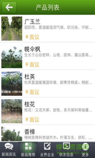 华南苗木图4