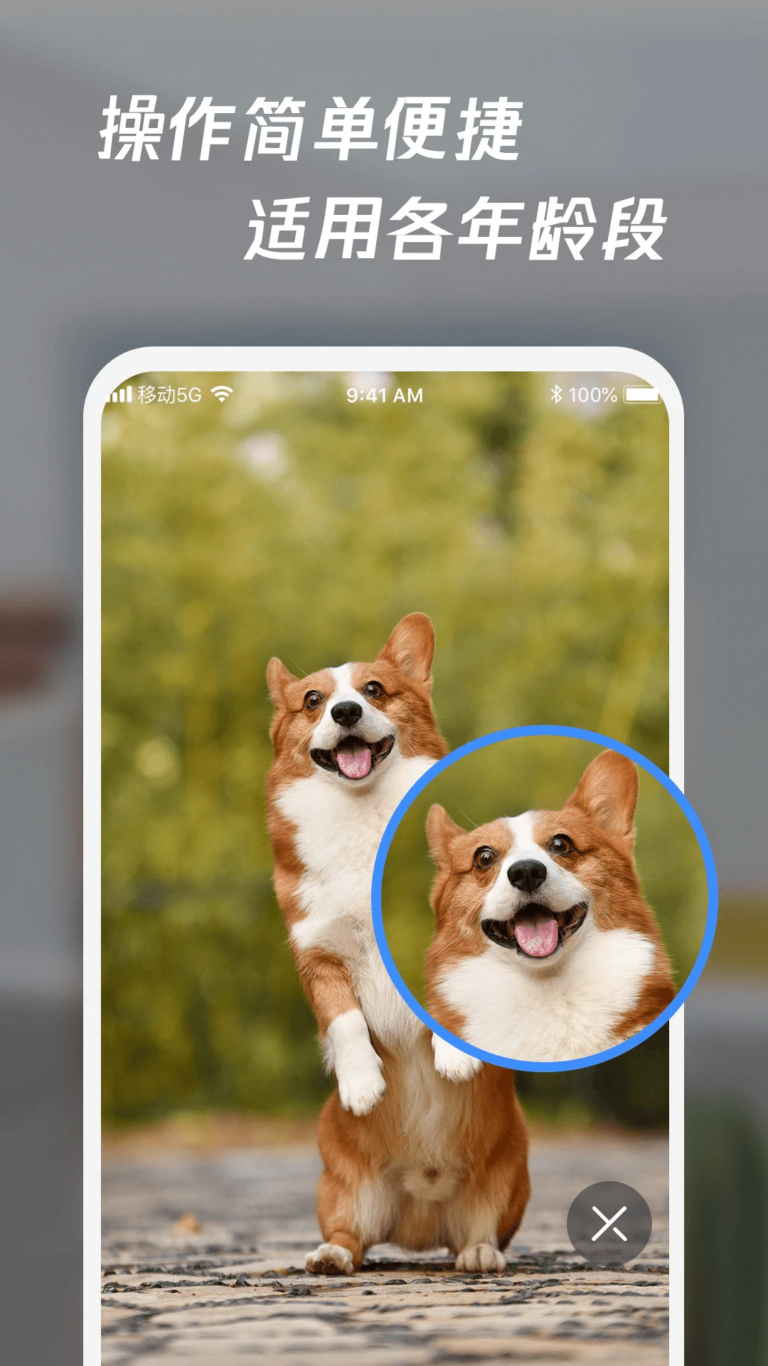 放大镜高清版图2