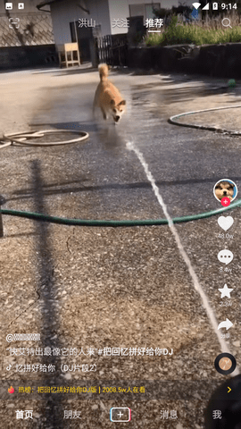 抖音Google版最新版图2