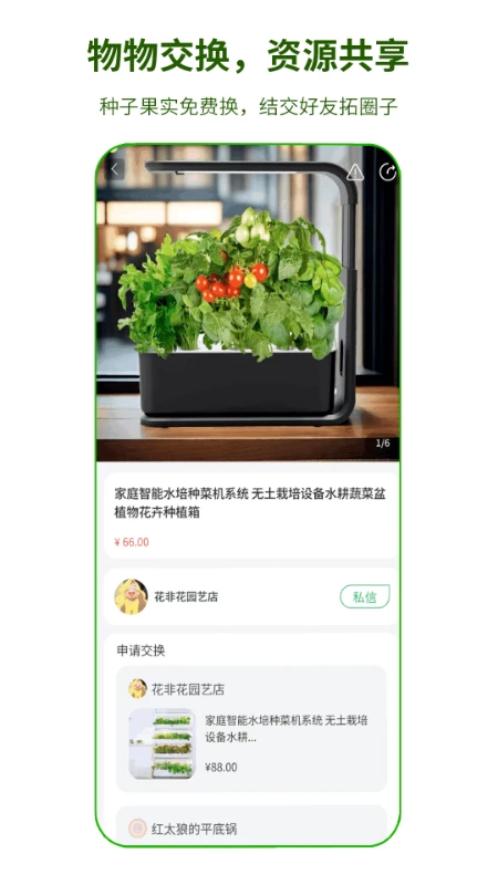 芽果图3