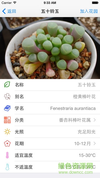 爱花草