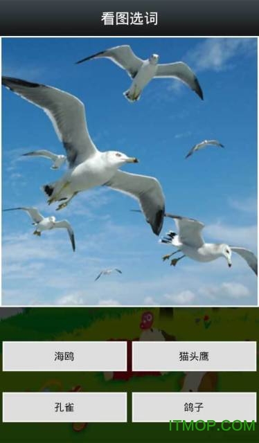 看图识字app图3
