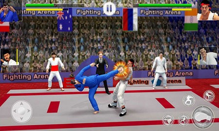 功夫大师(Karate Fighter)图5