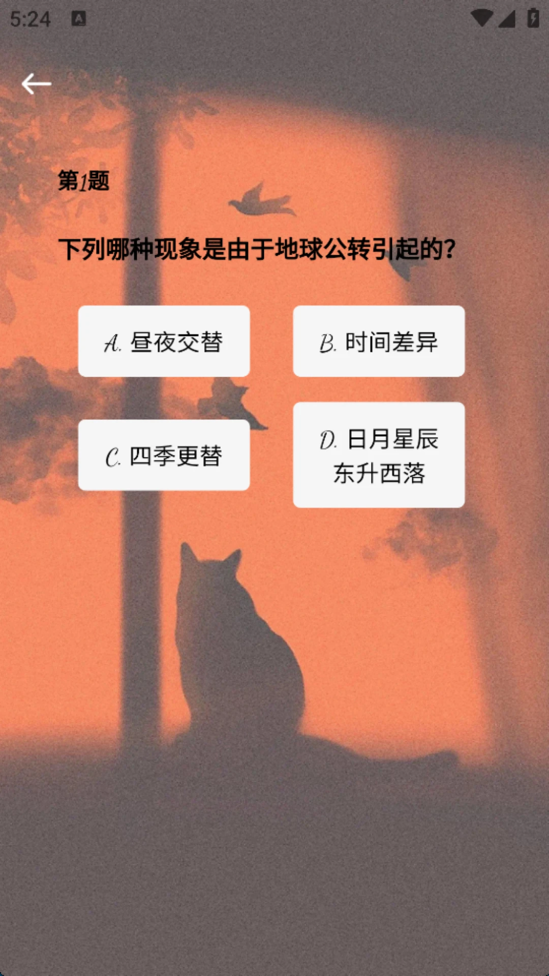 丁丁猫摸鱼 丁丁猫摸鱼