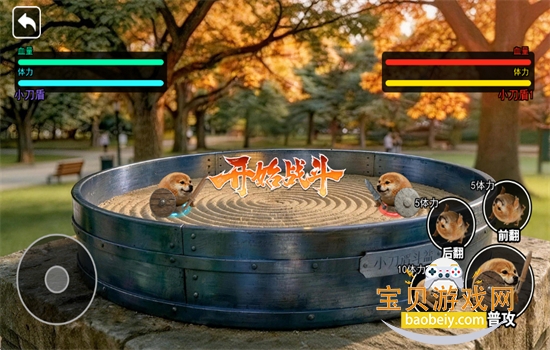 小刀盾超进化图8