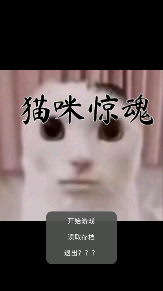 猫咪惊魂夜图2