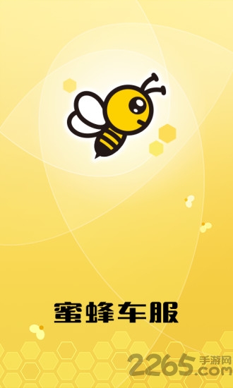 蜜蜂车服图1