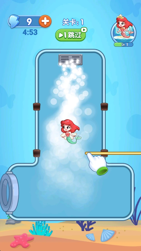 宠鱼养护手册图2