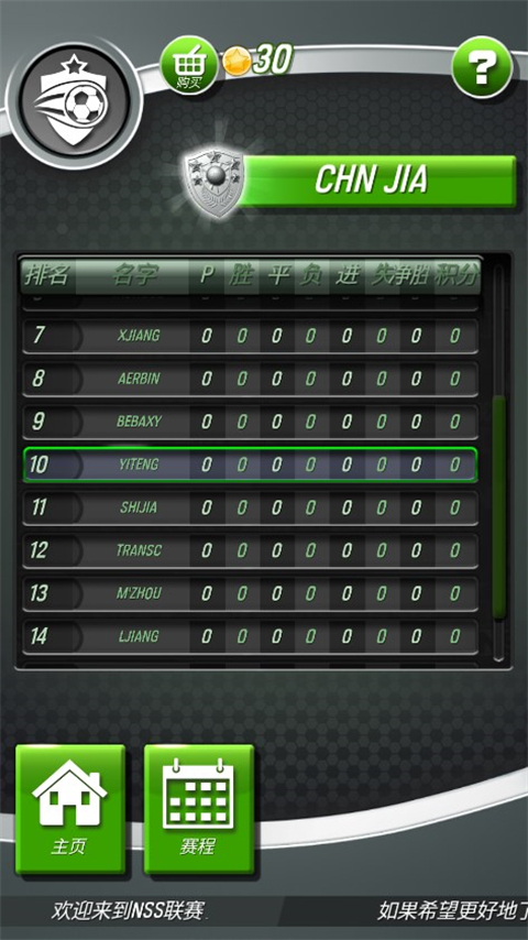 新星足球游戏中文版(New Star Soccer)图2