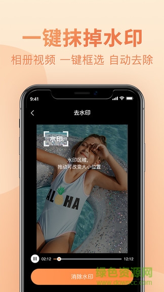 视频去水印图3