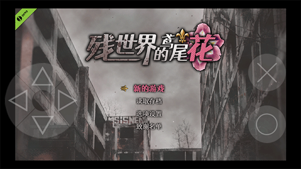 残世界的鸢尾花图3