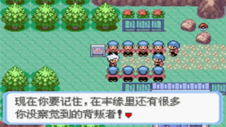 口袋妖怪：蛇纹木图3