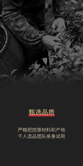 阳光甄选