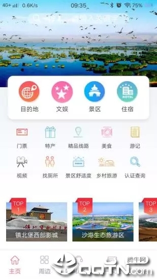 游宁夏图2
