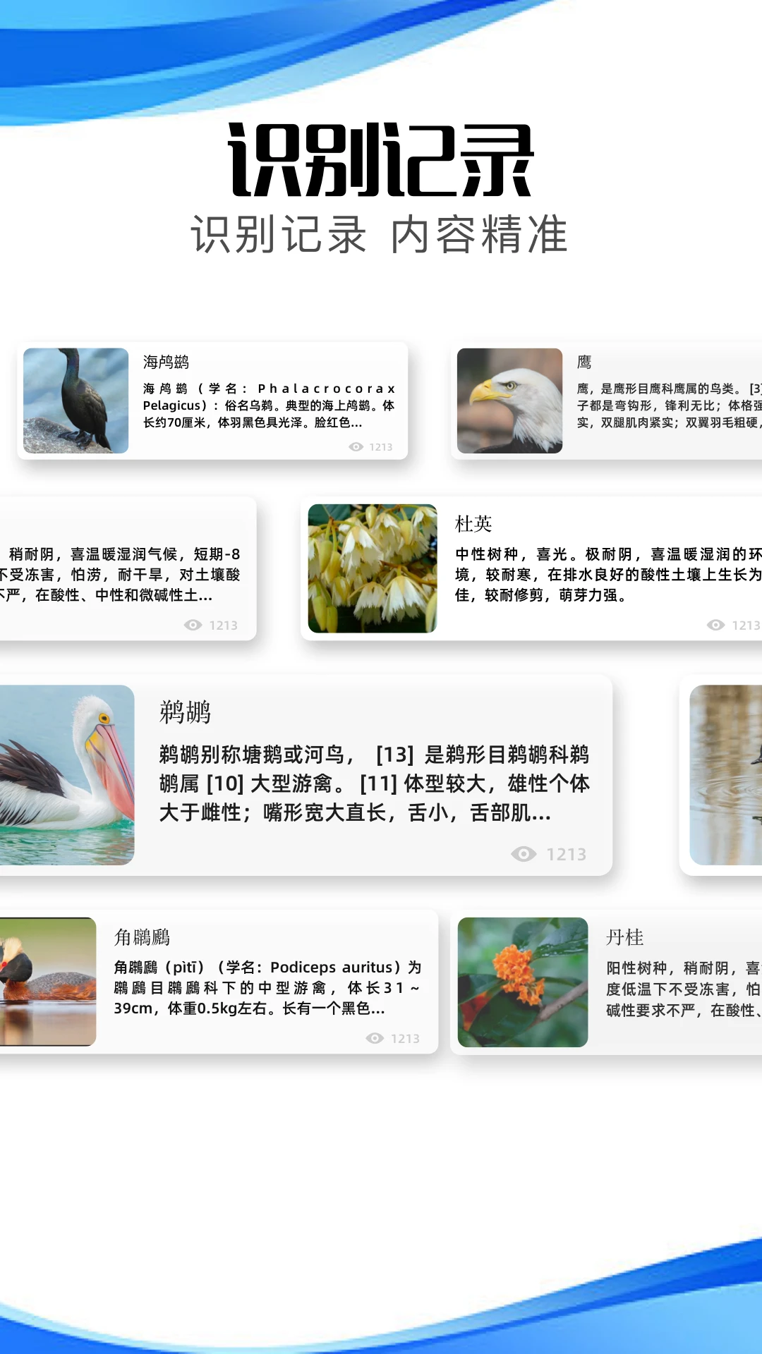 冷眸软件库2024最新安装包官网版图4