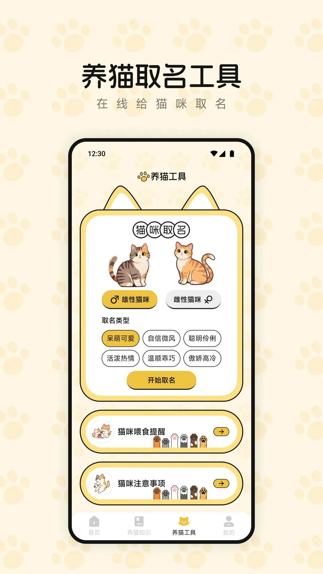 筑梦猫舍图3