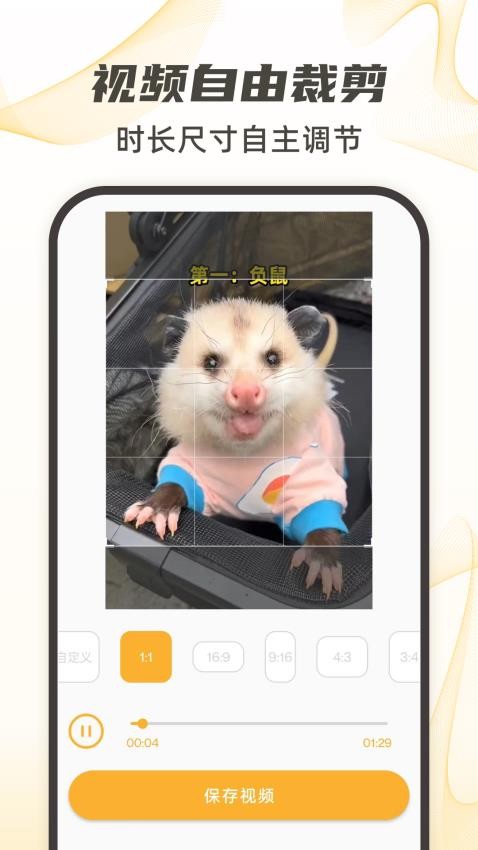 视频下载去水印