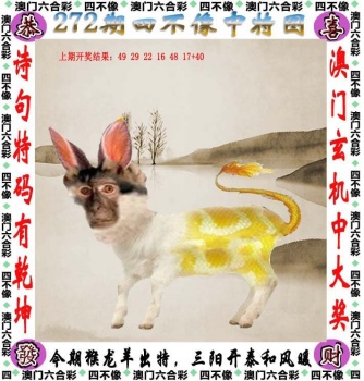 正版免费资料图2