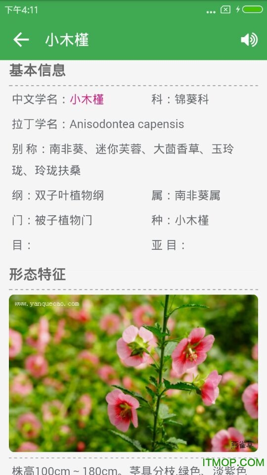 植物百科大全图4