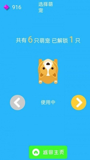 拯救单身狗