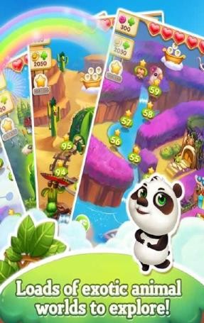 动物园的桑巴(Zoo Samba)图4