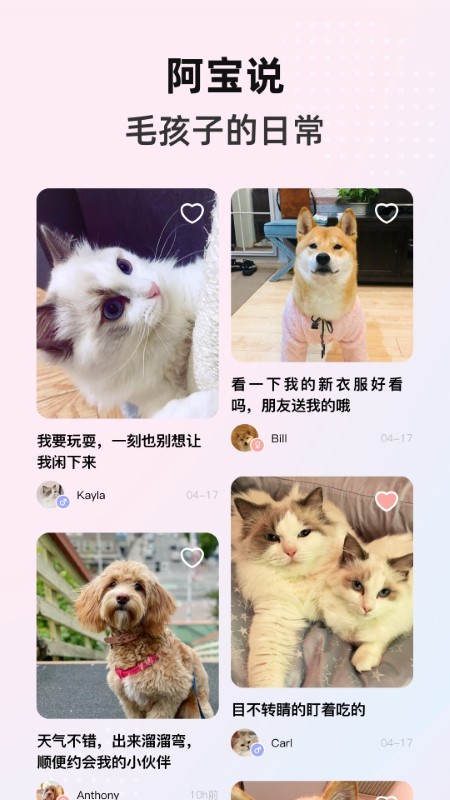 阿宝说图2
