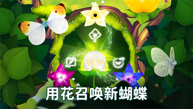 彩翼蝴蝶保护区图4