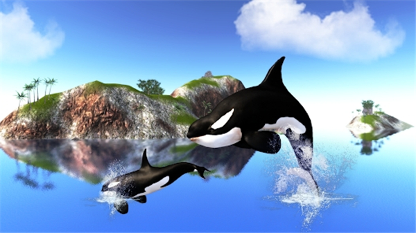 虎鲸模拟器官方版(The Killer Whale)图5