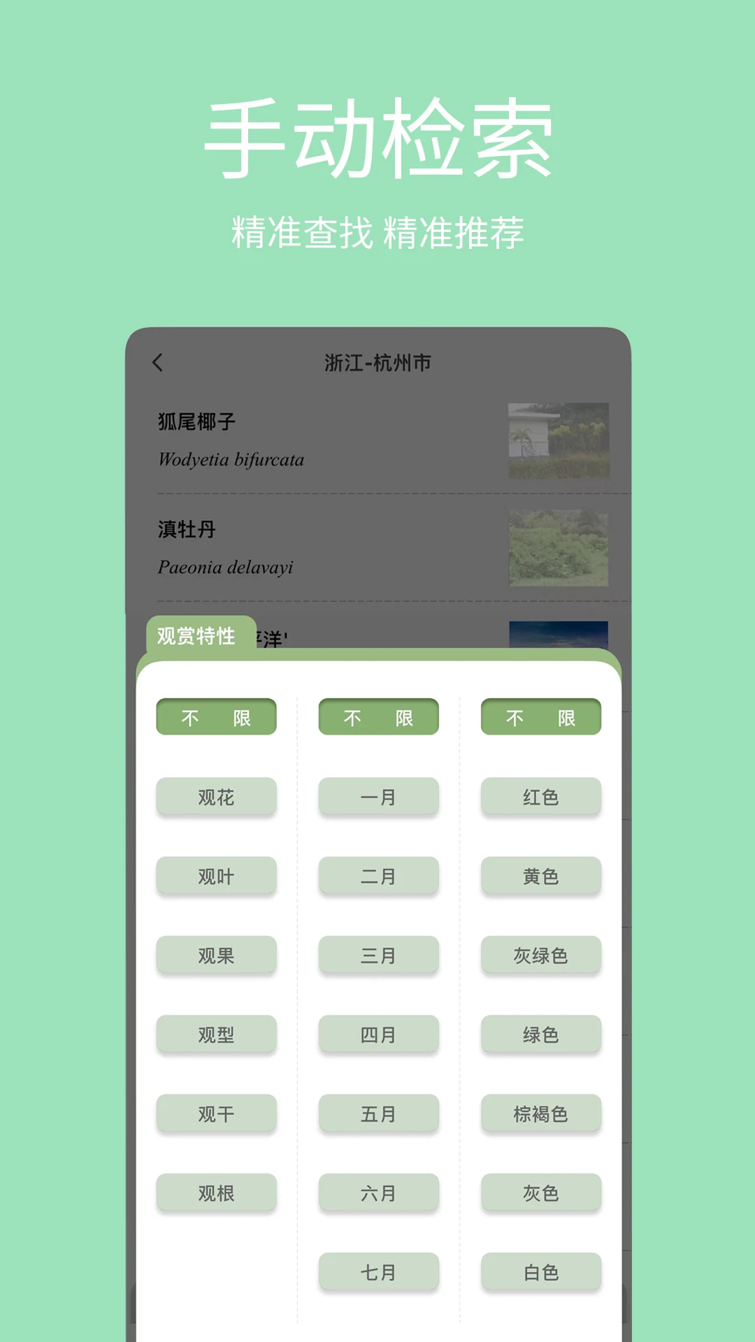 绿图图3