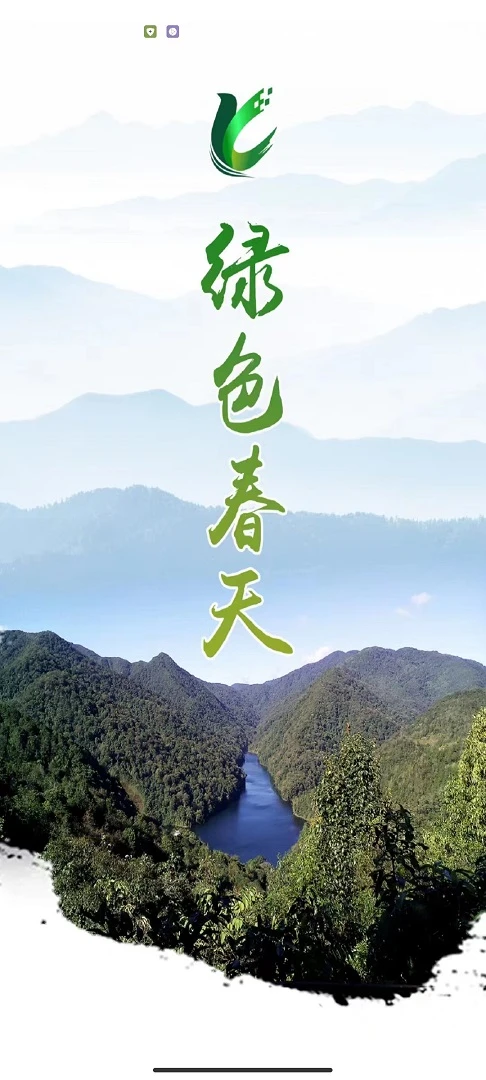LC绿色春天图1
