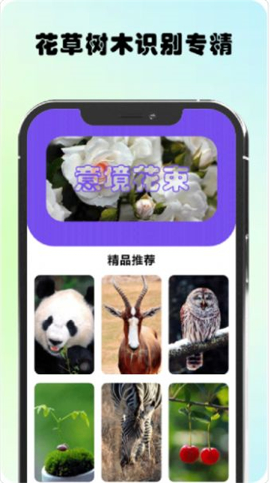 万物识图图4