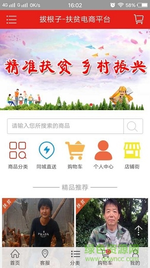 拔根子图2