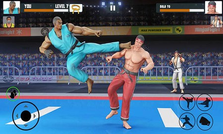 功夫大师(Karate Fighter) 功夫大师(Karate Fighter)