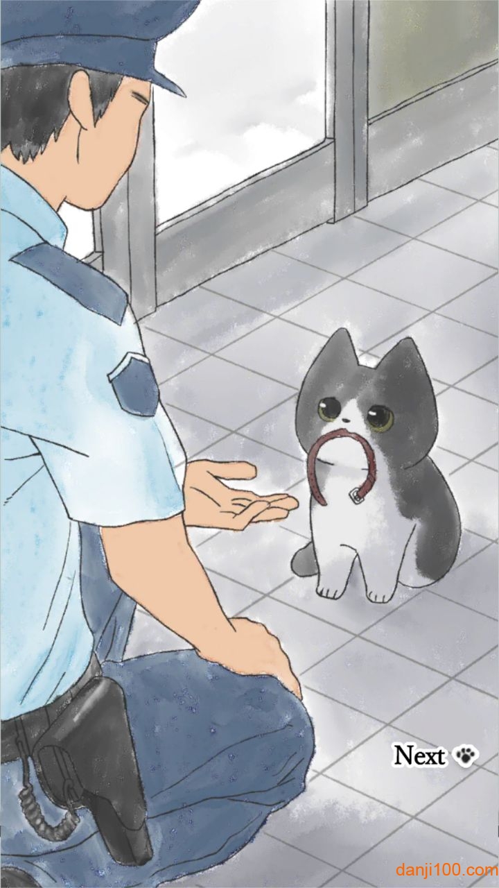 はぐれ猫图3