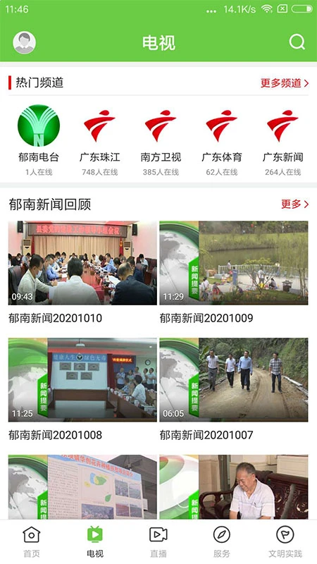 绿色郁南图2