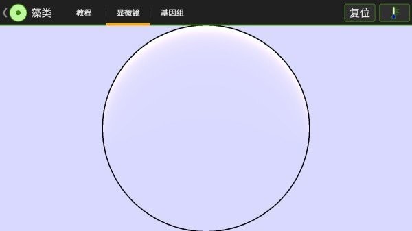 细胞实验室图4