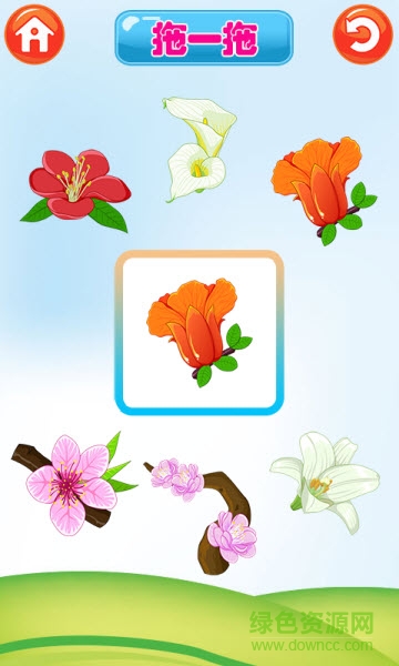 宝宝识植物图1